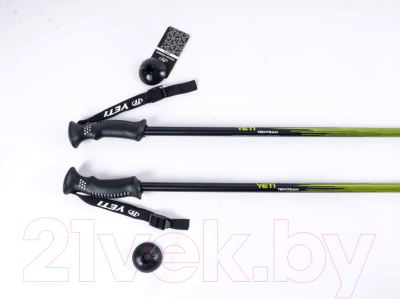 Трекинговые палки Tech Team Yeti 2-х секционные