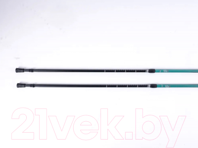 Трекинговые палки Tech Team Yeti 2-х секционные