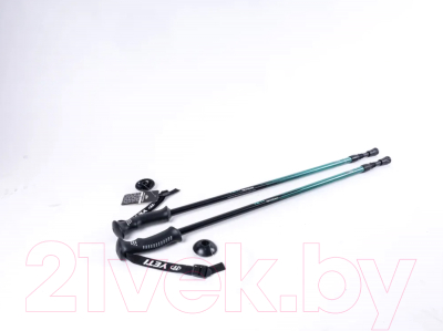 Трекинговые палки Tech Team Yeti 2-х секционные