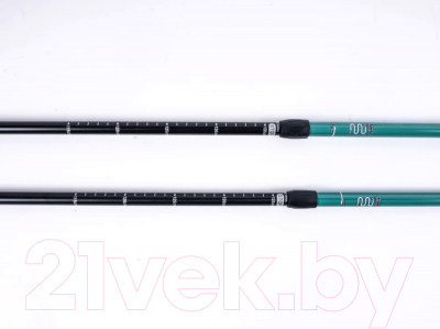 Трекинговые палки Tech Team Yeti 2-х секционные