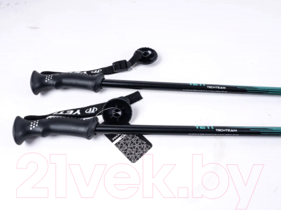 Трекинговые палки Tech Team Yeti 2-х секционные