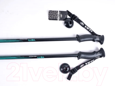 Трекинговые палки Tech Team Yeti 2-х секционные