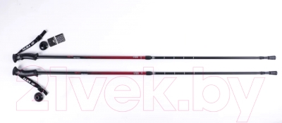 Трекинговые палки Tech Team Yeti 2-х секционные