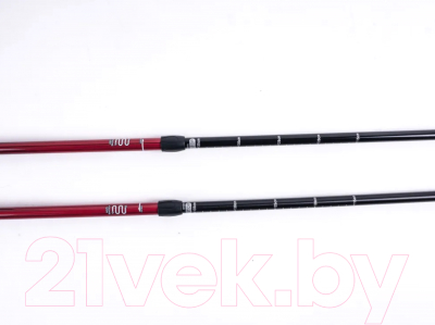 Трекинговые палки Tech Team Yeti 2-х секционные