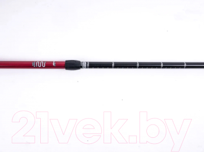 Трекинговые палки Tech Team Yeti 2-х секционные