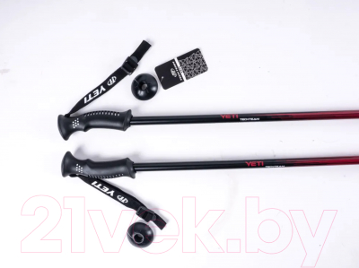 Трекинговые палки Tech Team Yeti 2-х секционные