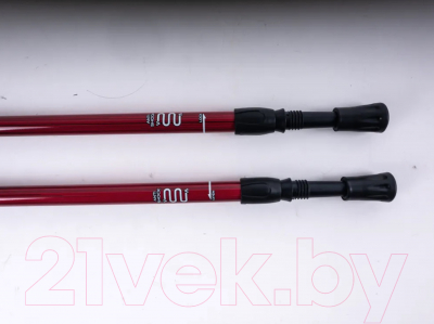 Трекинговые палки Tech Team Yeti 2-х секционные