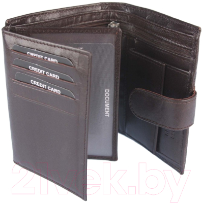 Портмоне Wild Tiger ZM-128R-034