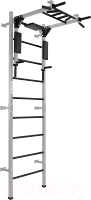 Шведская стенка Flexter Profi / ШСТБF13.12-FLX P (серебристый/черный) - фото