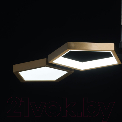 Потолочный светильник De Markt Пазл 719010406