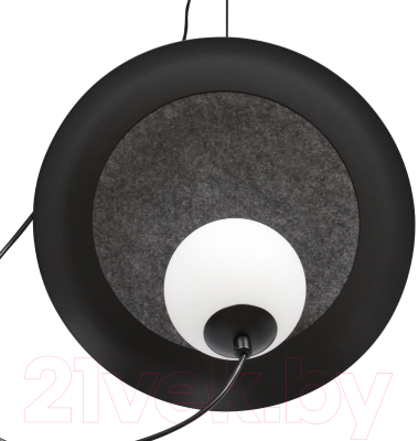 Потолочный светильник Loftit 10237P