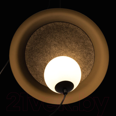 Потолочный светильник Loftit 10237P