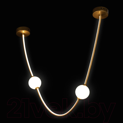 Потолочный светильник Loftit 10242/600