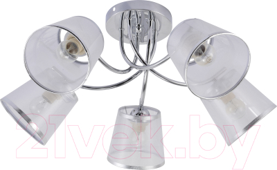 Люстра Rivoli Shirley 9167-305 / Б0059982 - фото