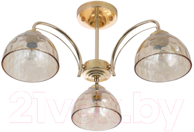 Люстра Rivoli Terri 9172-303 / Б0060988 - фото