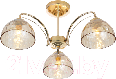 Люстра Rivoli Terri 9172-303 / Б0060988