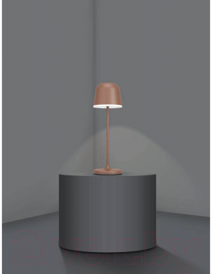 Прикроватная лампа Eglo Mannera 900459