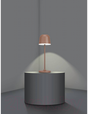 Прикроватная лампа Eglo Mannera 900459