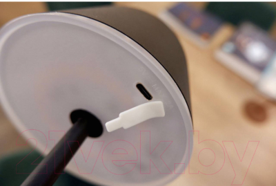 Прикроватная лампа Eglo Mannera 900461