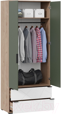 Шкаф ТриЯ Лео ТД-410.07.22 (гикори джексон/белый матовый/дымчатый зеленый)
