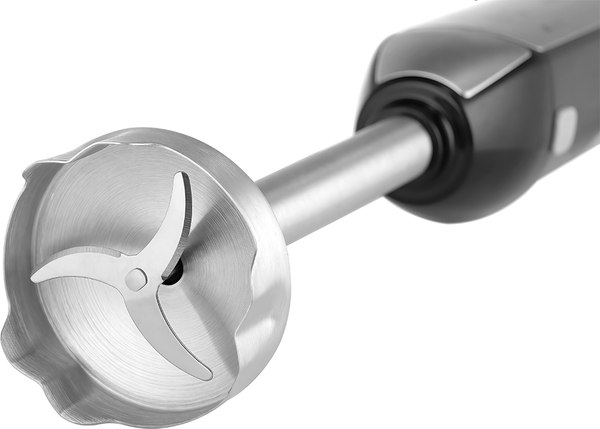 Блендер погружной Centek CT-1310 (черный)