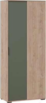 Шкаф ТриЯ Лео ТД-410.07.23 (гикори джексон/дымчатый зеленый) - фото
