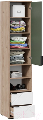 Шкаф-пенал ТриЯ Лео ТД-410.07.20