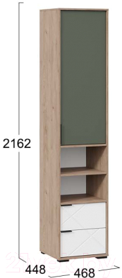 Шкаф-пенал ТриЯ Лео ТД-410.07.20