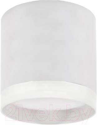 Потолочный светильник INhome НПБ ЦИЛИНДР-GX53-EL-WH / 4690612046334