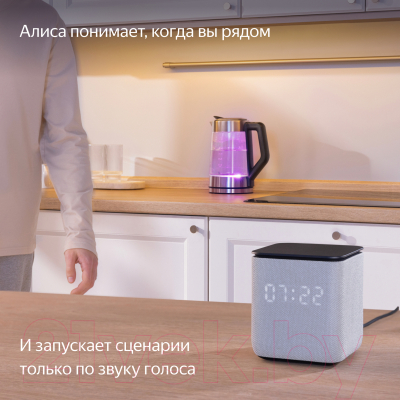 Умная колонка Яндекс Станция Миди с Zigbee YNDX-00054BLK