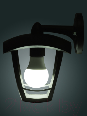 Бра уличное TDM SQ0330-1302