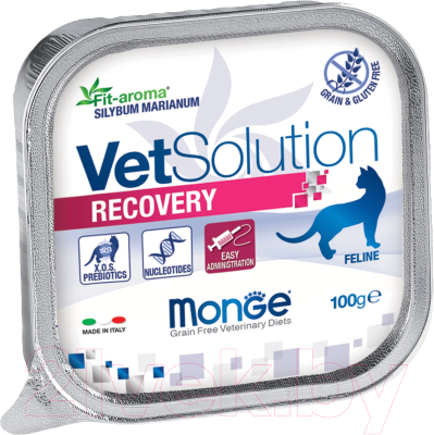 Влажный корм для кошек Monge Vet Solution Recovery - фото