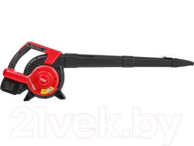 Воздуходувка аккумуляторная Wortex BB 2536-1 (1333417)