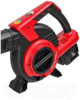 Воздуходувка аккумуляторная Wortex BB 2536-1 (1333417)