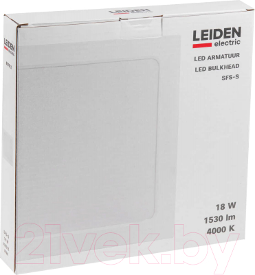 Потолочный светильник Leiden Electric 807012