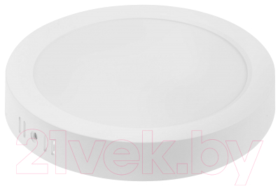 Потолочный светильник Leiden Electric 807010 - фото