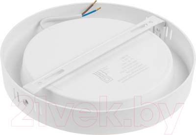 Потолочный светильник Leiden Electric 807010