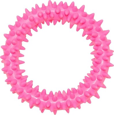 Игрушка для собак Homepet Кольцо с шипами / 70120 - фото