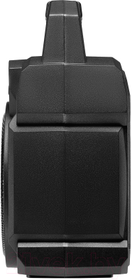 Портативная колонка Digma D-PS1500 (черный)