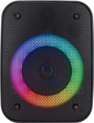 Портативная колонка Hyundai H-PS1005 - фото