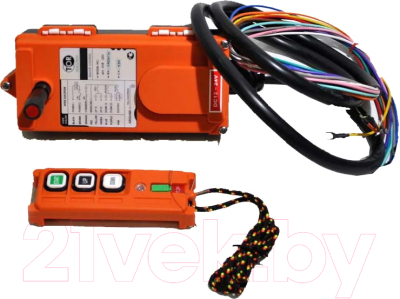 Комплект радиоуправления для тали электрической TOR F21-2D / 1011286 - фото