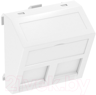 Лицевая панель OBO Bettermann DTS-2RM RW1 2M / 6119298 - фото