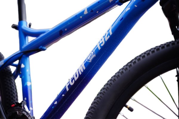 Детский велосипед Polar Bike Everest Fs Disk 22 / В262S10220