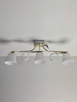 Потолочный светильник Mirastyle MX11077/3 BKWH+FGD