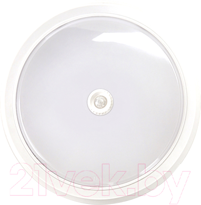 Светильник ЖКХ INhome СПБ-2Д-Круг / 4690612020709 - фото