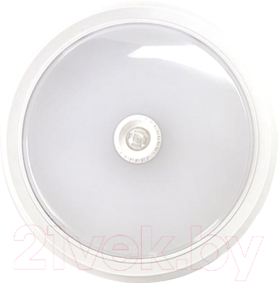 Светильник ЖКХ INhome СПБ-2Д-Круг / 4690612020686 - фото