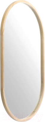 Зеркало Eglo Bani 425002 - фото