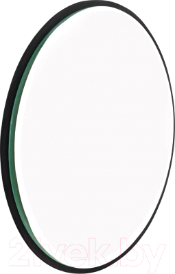 Зеркало Eglo Bani 425039 - фото