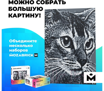 Фото-конструктор Mozabrick 60003 М
