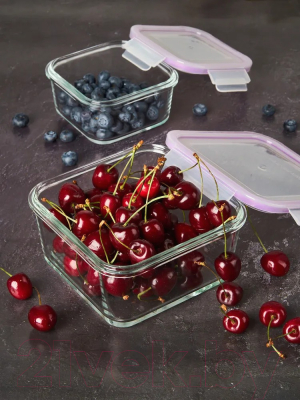 Набор контейнеров Eley ELSTH009P